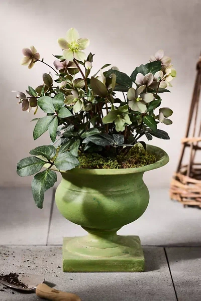 Terrain Green Cast Stone Urn