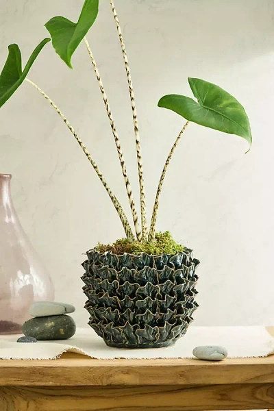 Terrain Green Ruffle Stoneware Planter
