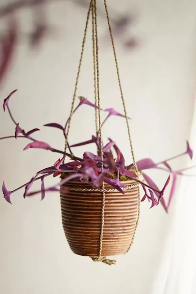 Terrain Hanging Rattan Stripe Basket Planter In Burgundy