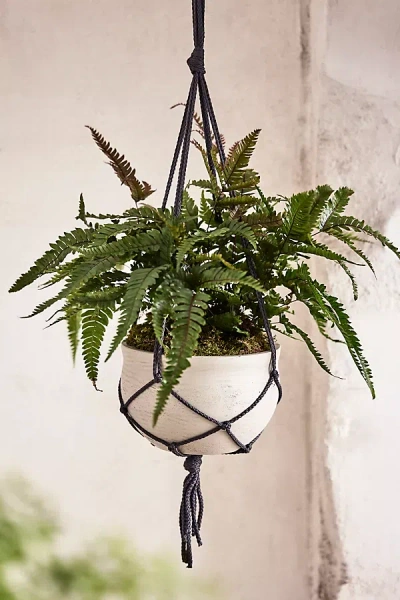 Terrain Hanging Round Cement Planter In Neutral