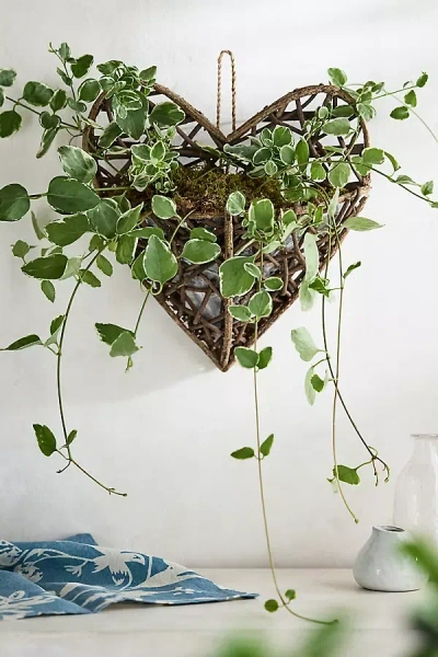 Terrain Hanging Twig Heart Planter In Green