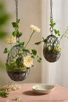 Terrain Hanging Wire Egg Basket