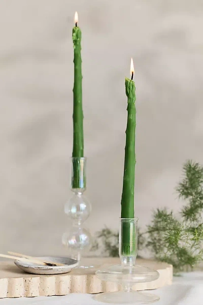 Terrain Asparagus Beeswax Tapers, Set Of 2 In Green