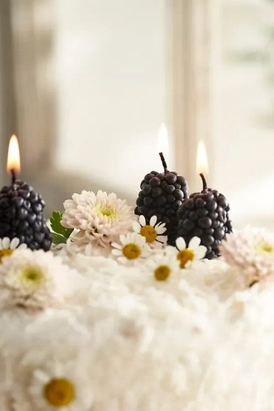 Terrain Blackberry Beeswax Candles, Set Of 10