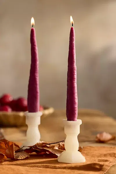 Terrain Happy Organics Purple Carrot Taper Candles, Set Of 2 In White