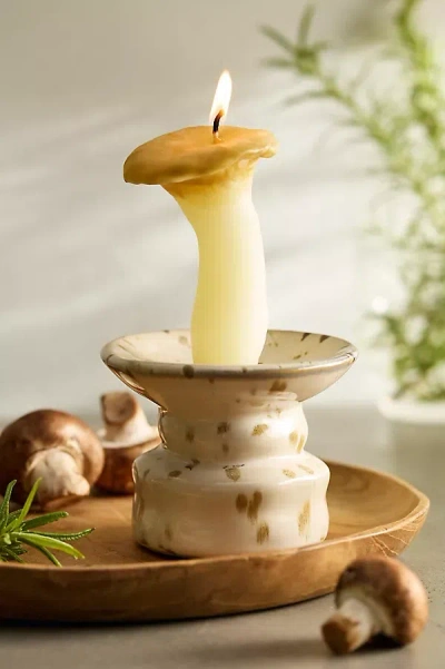Terrain Happy Organics Trumpet Mushroom Beeswax Candle