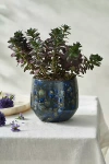 Terrain Harris Glazed Terracotta Pot
