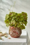 Terrain Harris Glazed Terracotta Pot In Multi