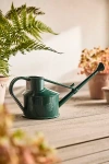 Terrain 1 Pint Watering Can, Green