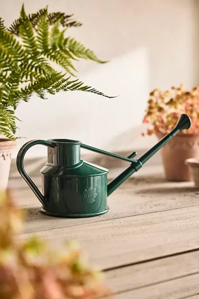 Terrain 1 Pint Watering Can, Green