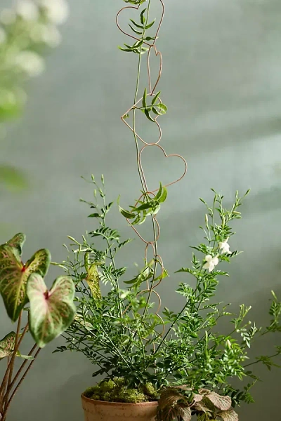 Terrain Heart Chain Copper Garland Trellis