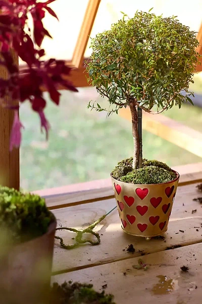 Terrain Heart Lattice Iron Pot In Multi