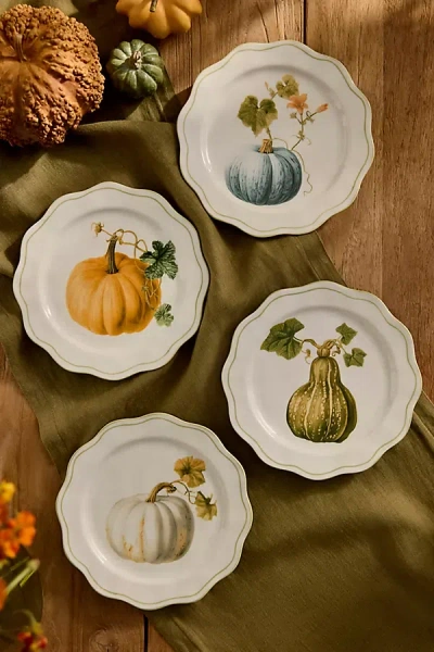 Terrain Heirloom Pumpkin Scalloped Stoneware Plate