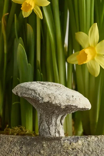 Terrain Hermes Mushroom Concrete Stake In Neutral