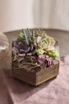 Terrain Hexagon Succulent Planter
