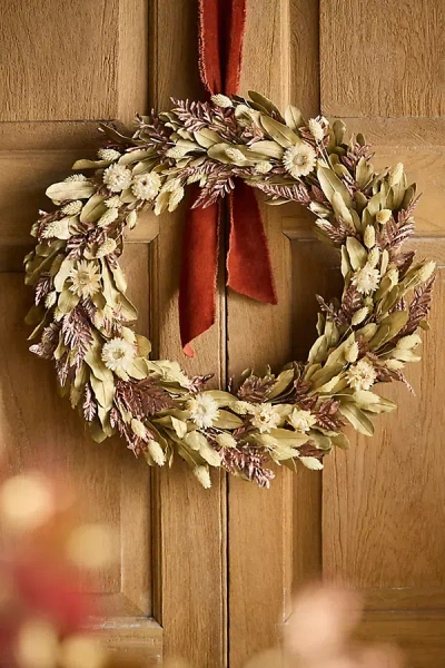Terrain Holiday Shimmer Dried Wreath In Neutral