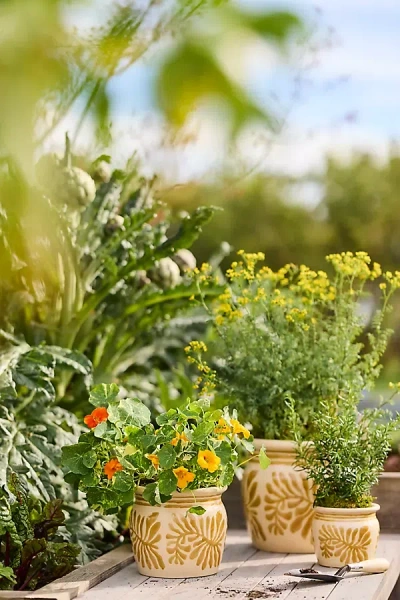 Terrain Honey Pot Ceramic Planter