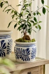 Terrain Honey Pot Ceramic Planter