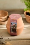 Terrain Hydroponic Grow Kit
