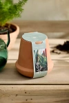 Terrain Hydroponic Grow Kit
