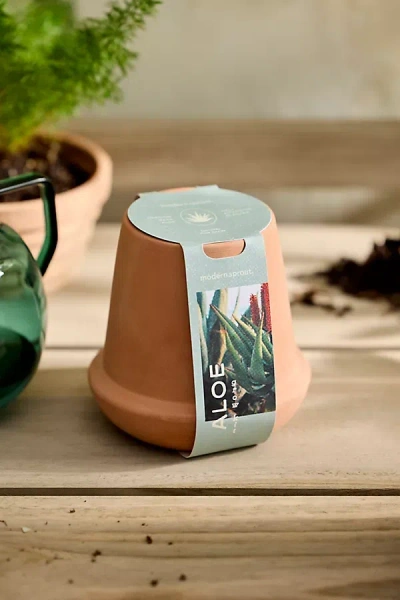 Terrain Hydroponic Grow Kit