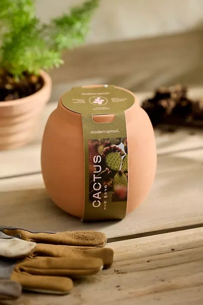 Terrain Hydroponic Grow Kit