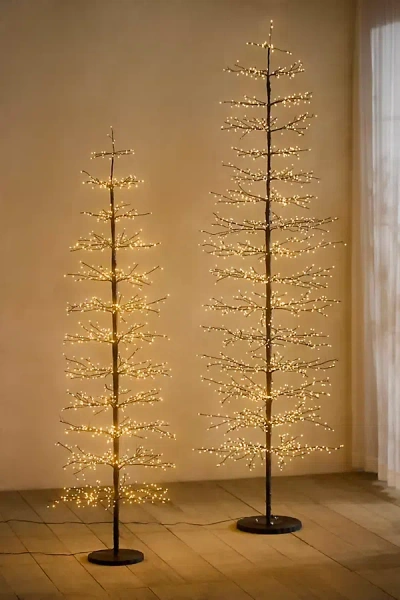 Terrain Illuminated Led Alpine Tree In Black