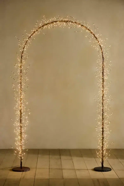 Terrain Illuminated Led Branch Arch In Black