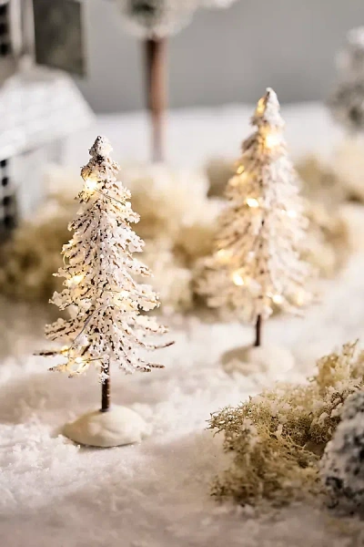 Terrain Illuminated Snowy Brush Trees, Set Of 2 In Multicolor