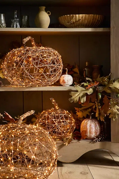 Terrain Illuminated Vine Pumpkin In Brown