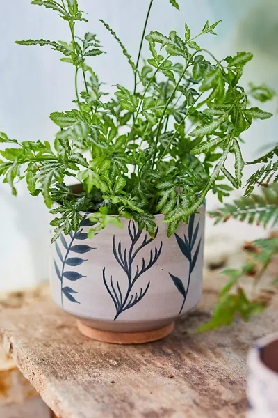 Terrain Indigo Floral Footed Planter, 6" In Multi