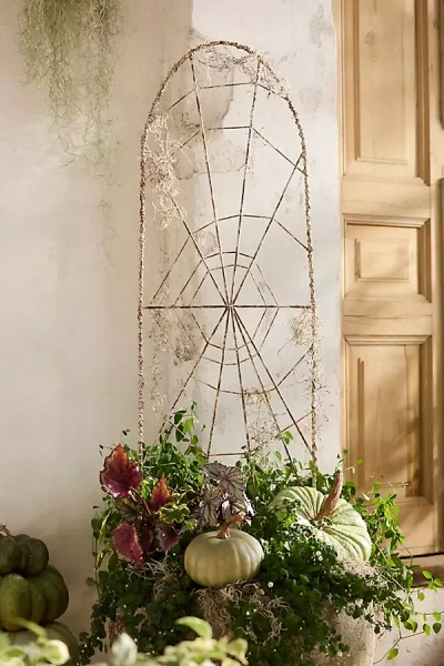 Terrain Iron Spiderweb Trellis