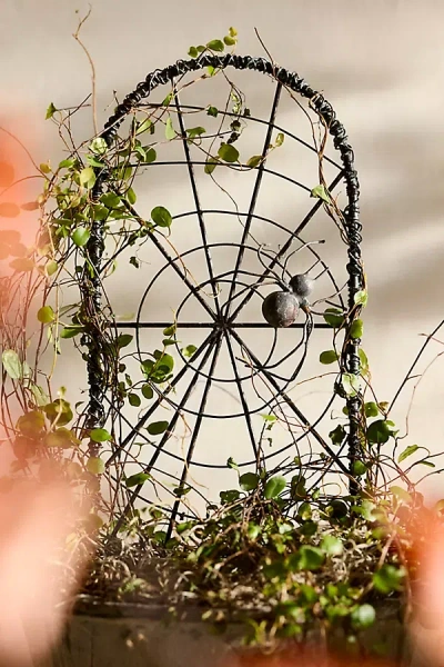 Terrain Iron Spiderweb Trellis