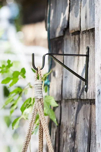 Terrain Iron Wall Plant Hanger In Black