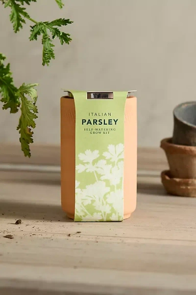 Terrain Italian Parsley Self-watering Grow Kit