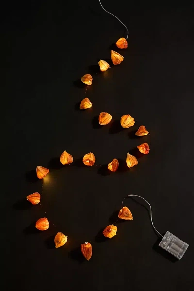 Terrain Japanese Lantern Seed Pod String Lights