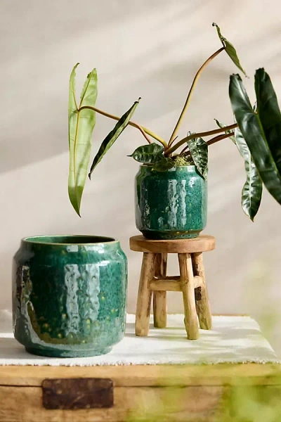 Terrain Juno Glazed Earthenware Planter In Green