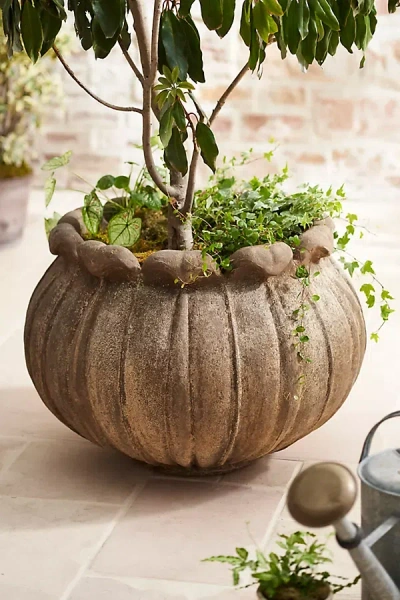 Terrain Keswick Cast Stone Planter In Brown