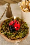 Terrain Ladybug Candle