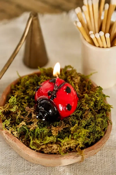 Terrain Ladybug Candle