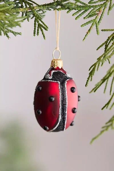 Terrain Ladybug Glass Ornament In Red
