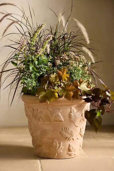Terrain Leafy Concrete Planter