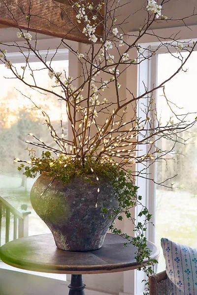 Terrain Led Pussy Willow Branch Light