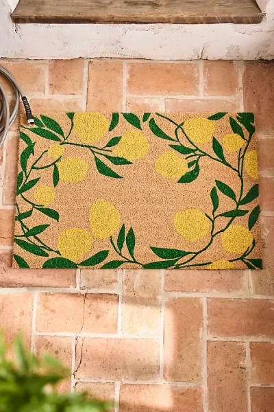 Terrain Lemon Grove Doormat In Brown