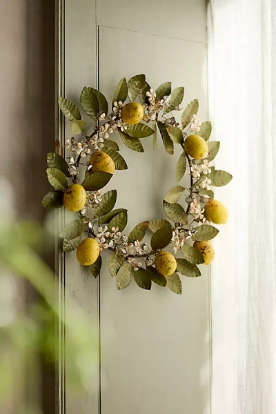Terrain Lemon Vine Iron Wreath In Green