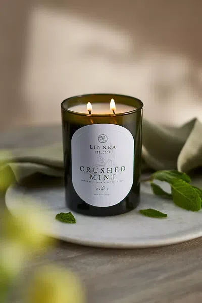 Terrain Linnea Botanik Candle, Crushed Mint In Multi