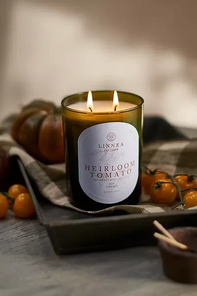 Terrain Linnea Botanik Candle, Heirloom Tomato In Multicolor
