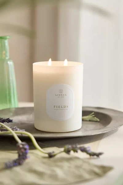 Terrain Candle, Fields