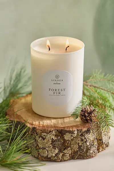 Terrain Linnea Candle, Forest Fir In Multi