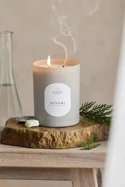 Terrain Candle, Hinoki